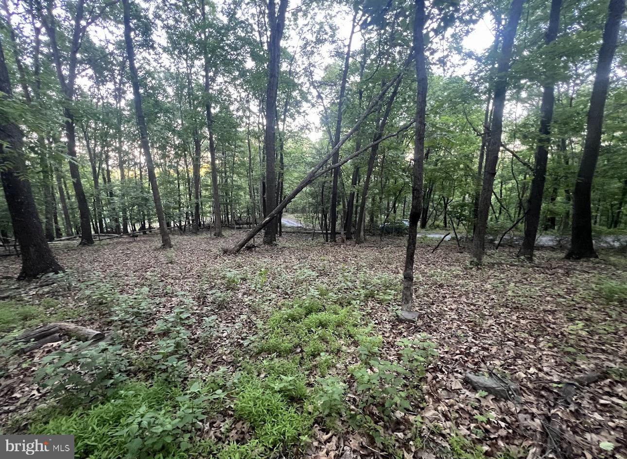 Tbd Rolly Rd Property Photo 11