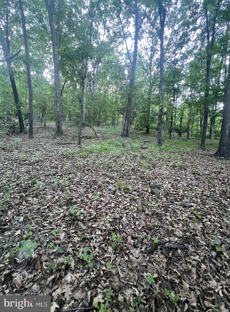 Tbd Rolly Rd Property Photo 12