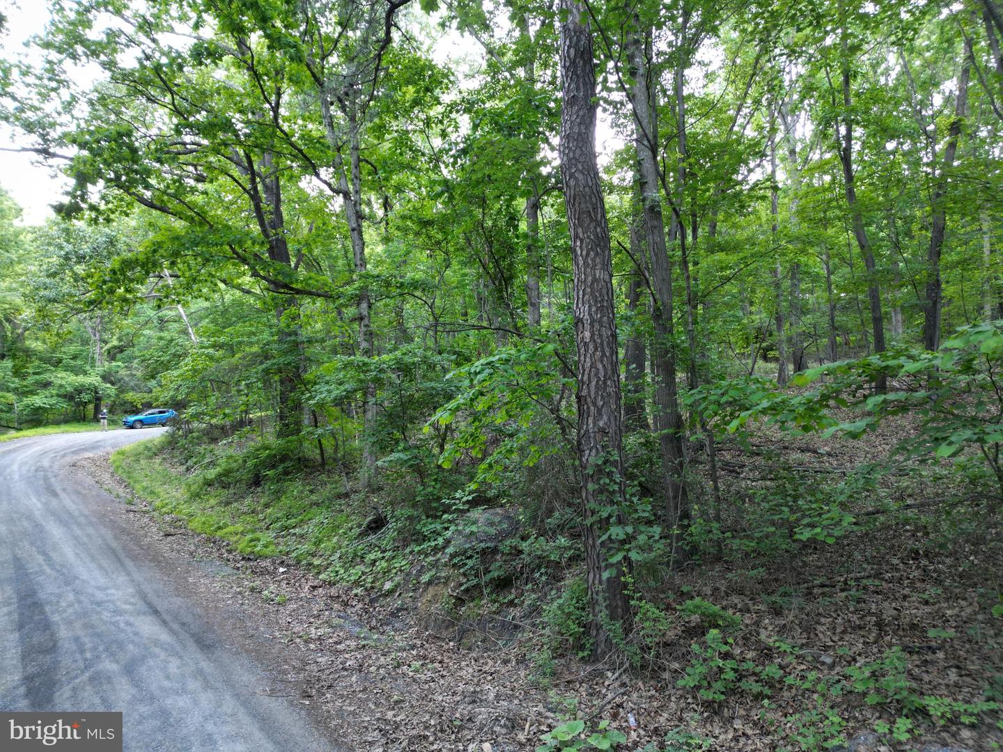 Tbd Rolly Rd Property Photo 13