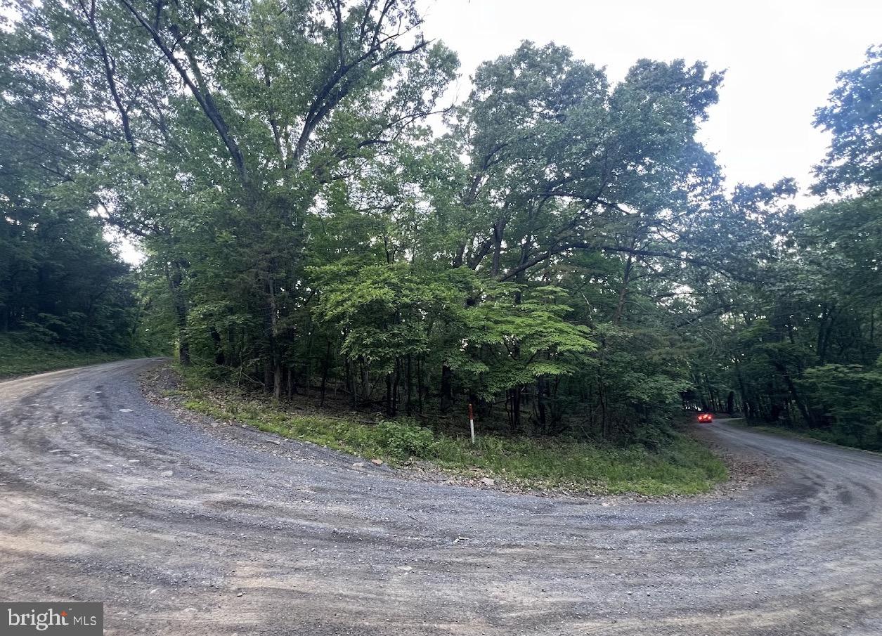 Tbd Rolly Rd Property Photo 15
