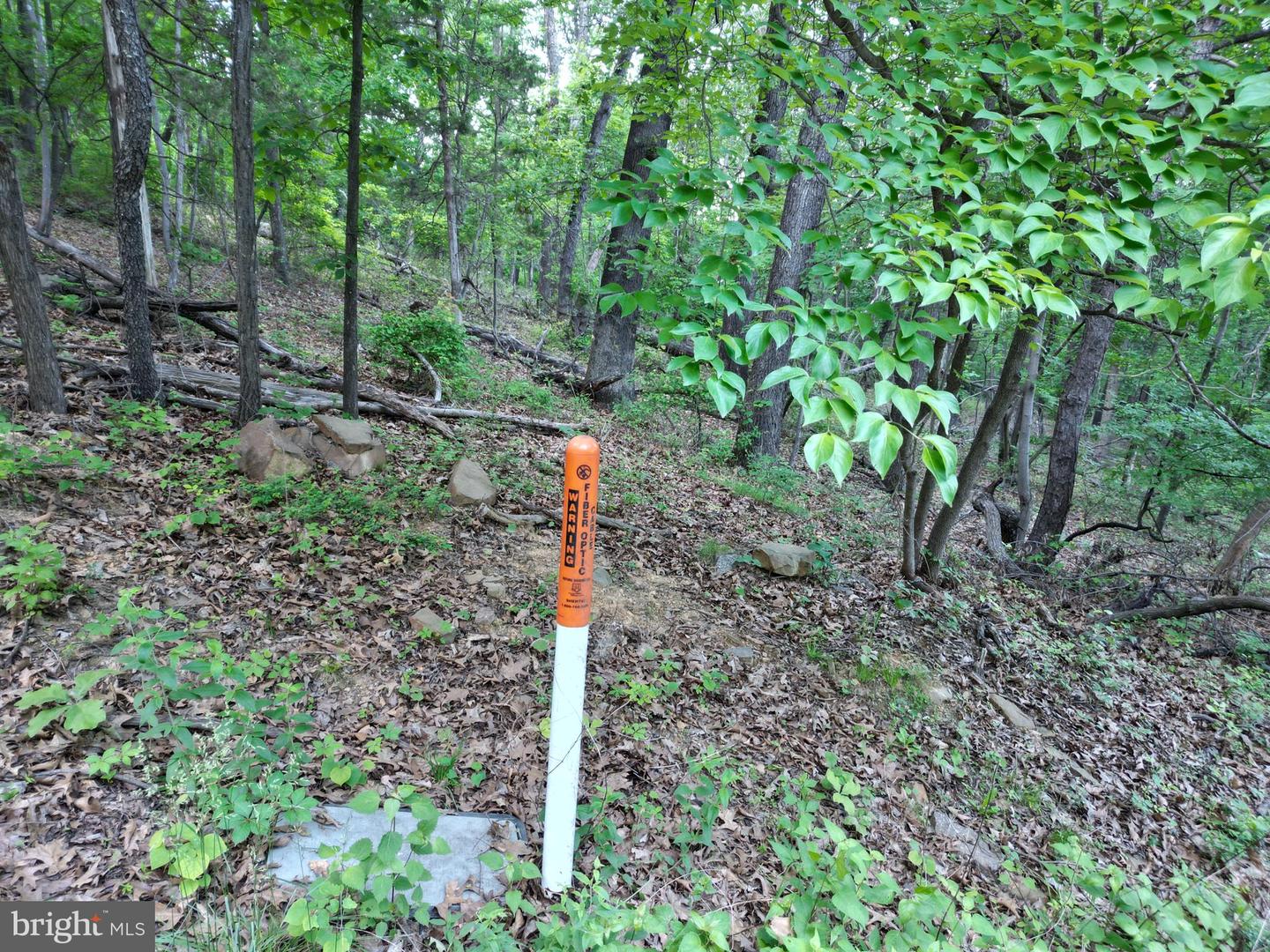 Tbd Rolly Rd Property Photo 16