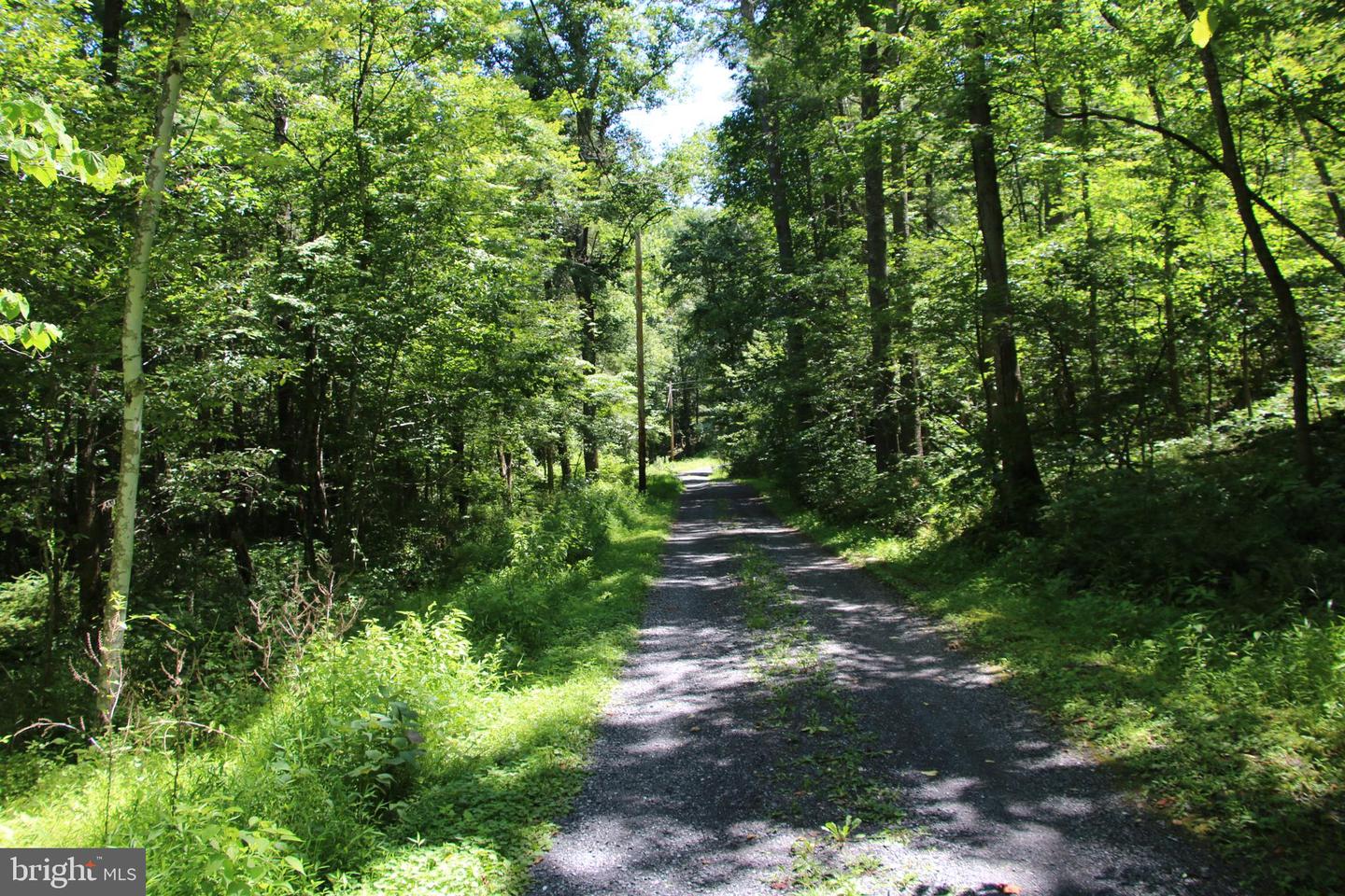 112 Cedar Hill Road Property Photo 19