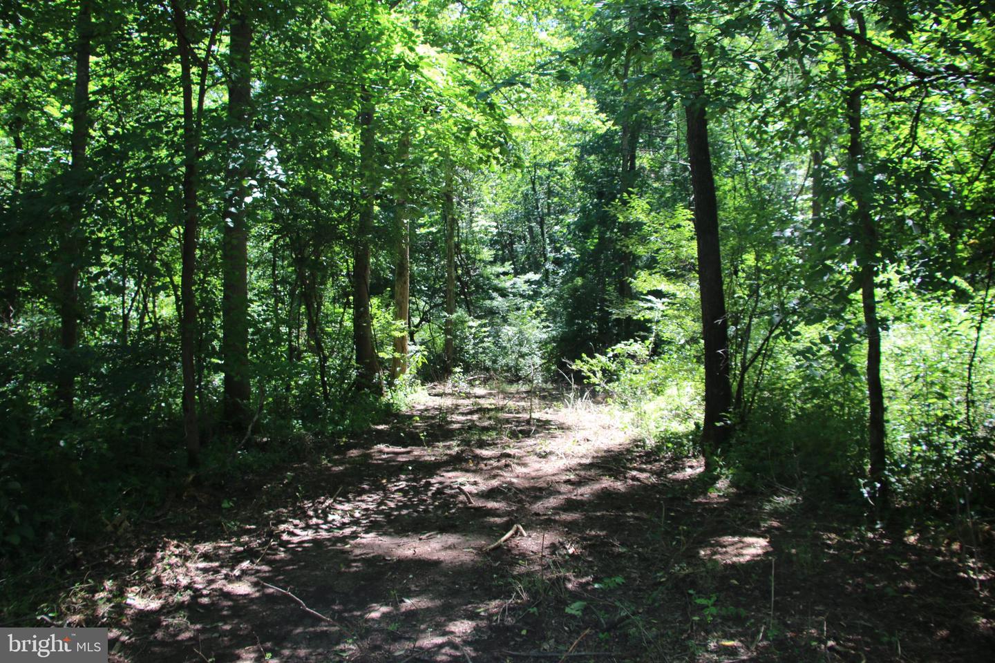 112 Cedar Hill Road Property Photo 20