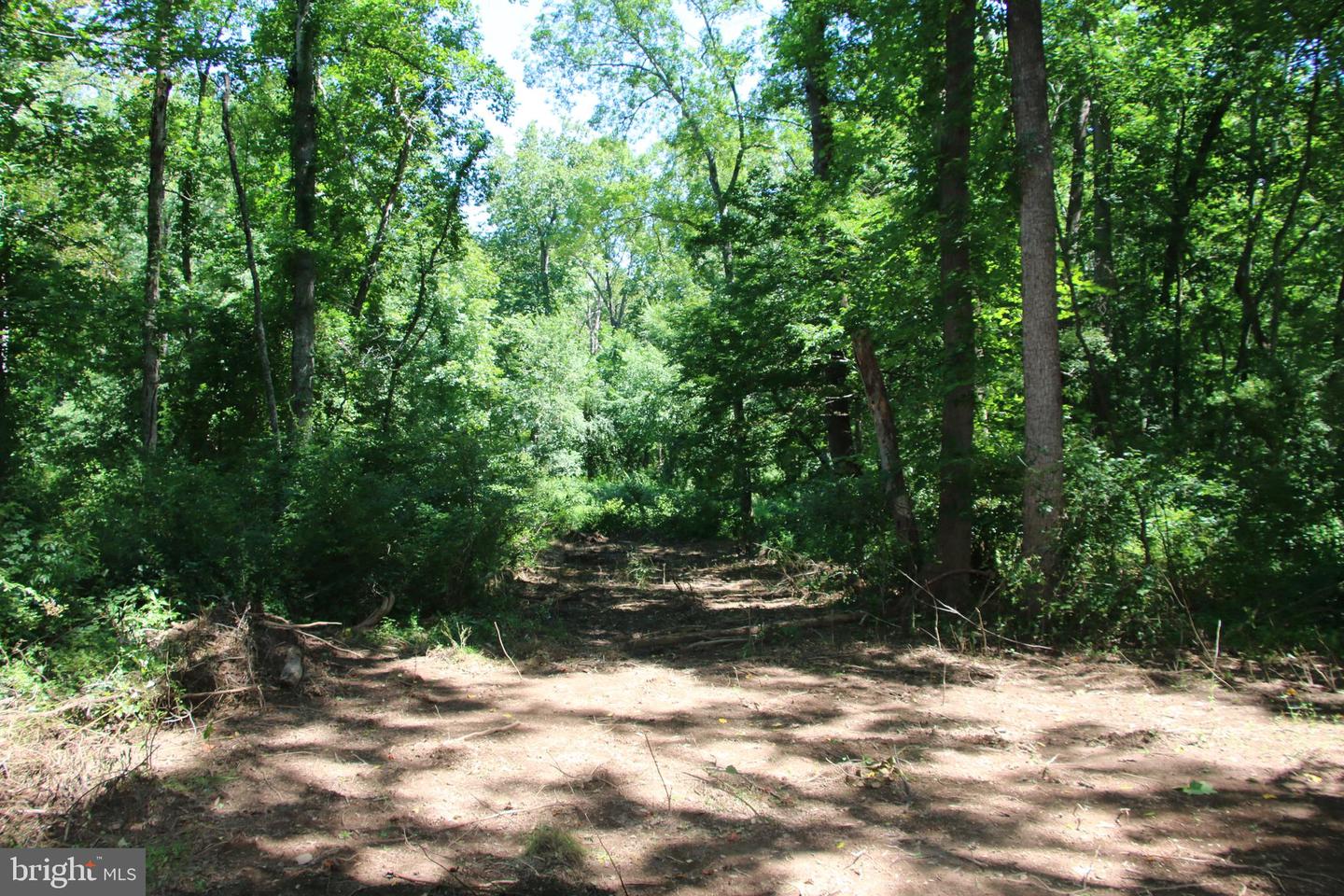112 Cedar Hill Road Property Photo 21