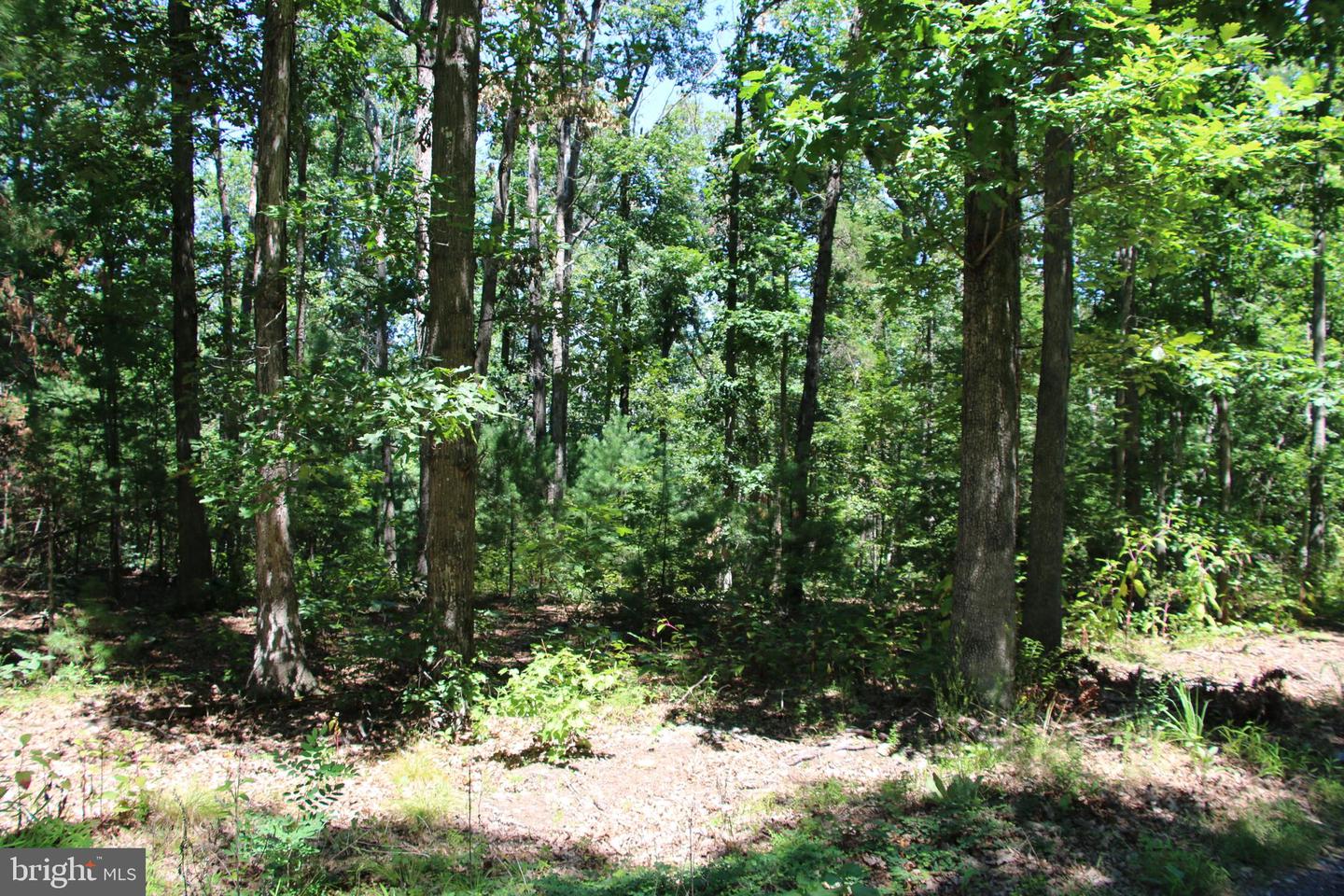 112 Cedar Hill Road Property Photo 25
