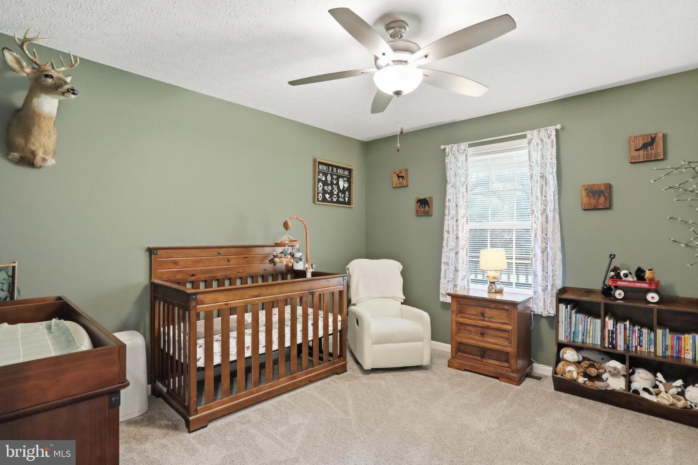 4111 Moreland Gap Road Property Photo 21