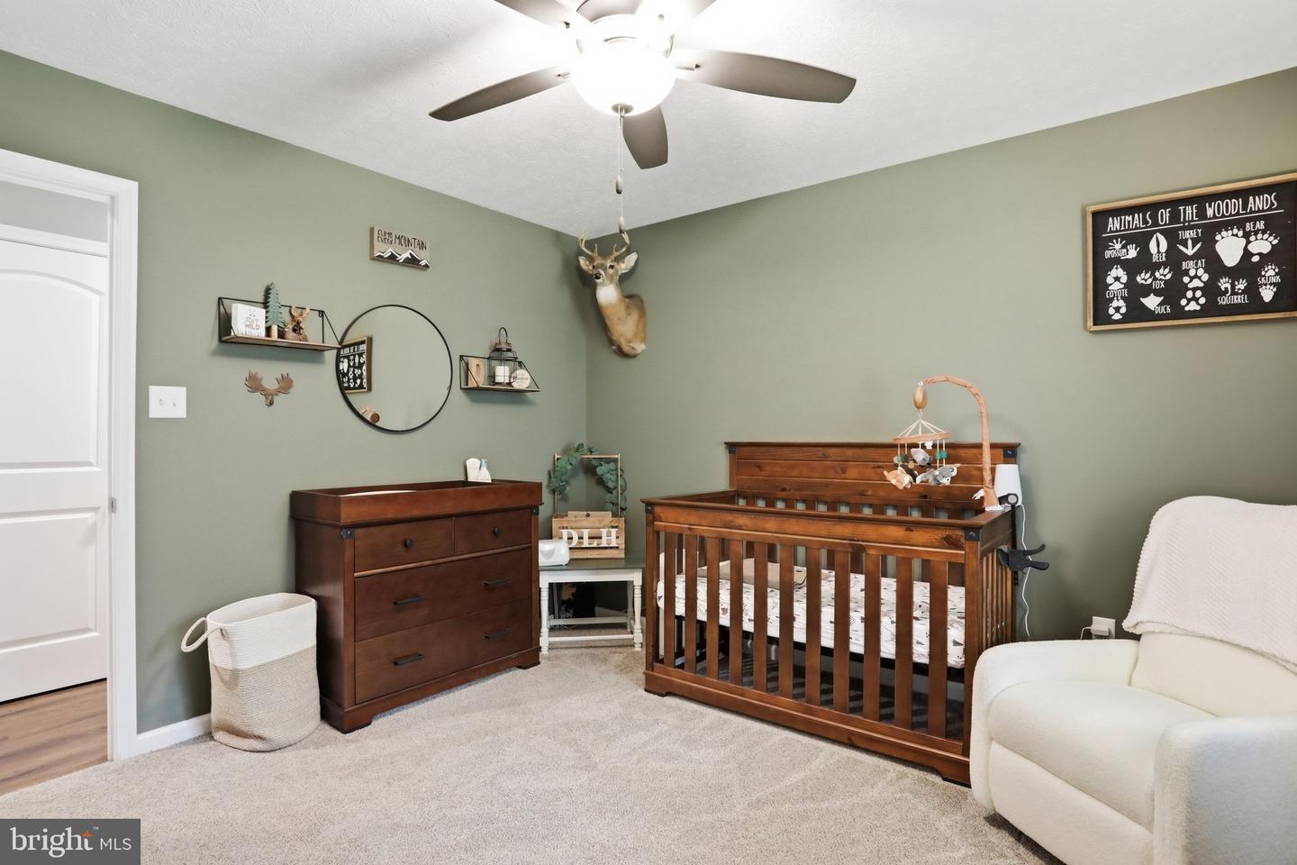 4111 Moreland Gap Road Property Photo 22