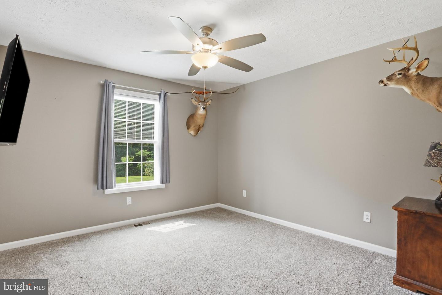 4111 Moreland Gap Road Property Photo 28