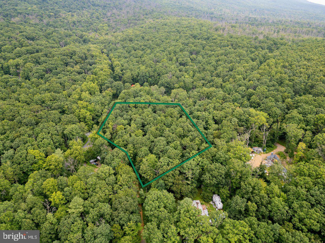 Tbd Dogwood Drive Property Photo 1