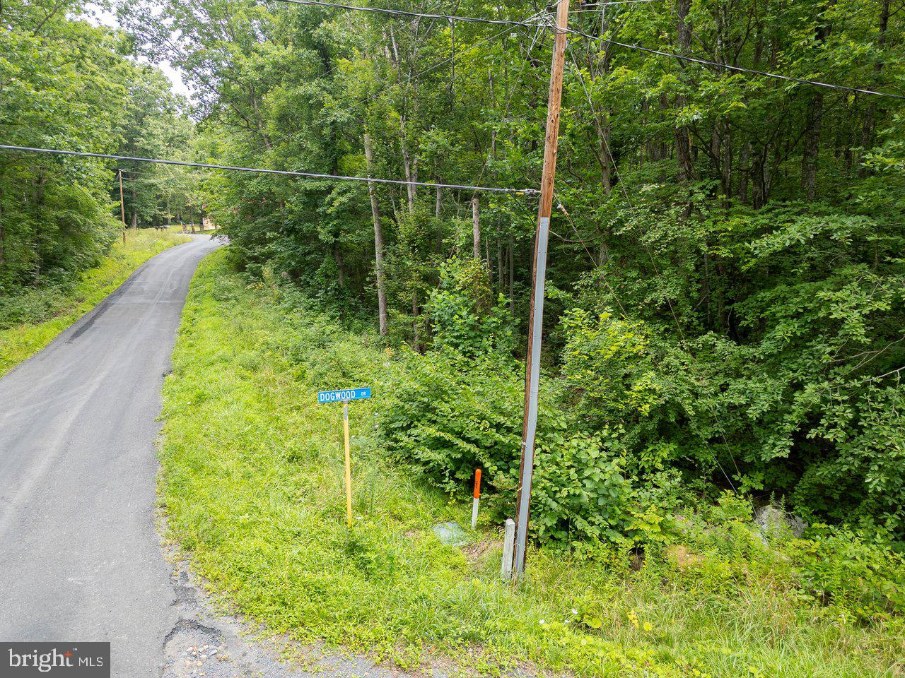 Tbd Dogwood Drive Property Photo 6