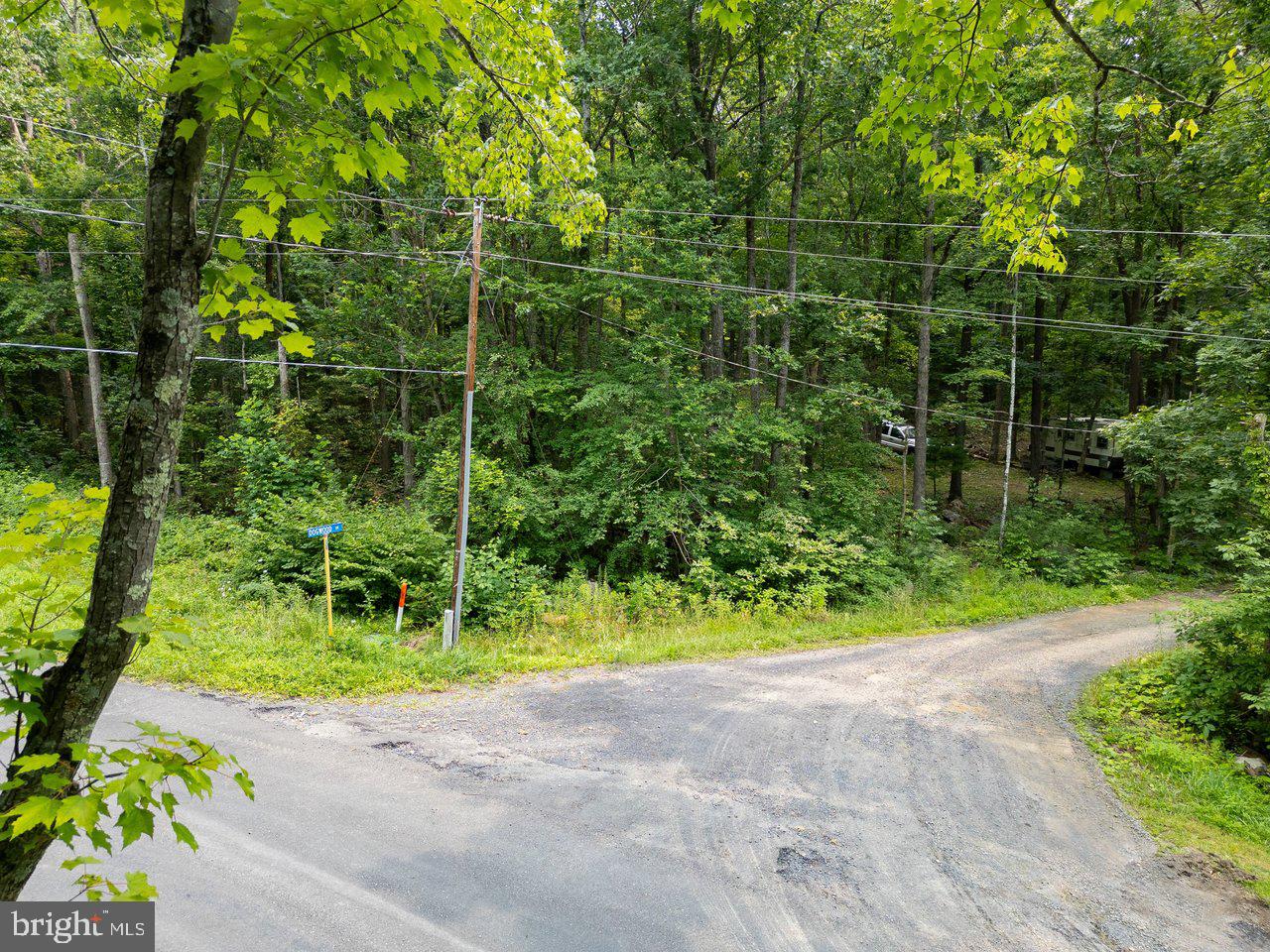 Tbd Dogwood Drive Property Photo 7