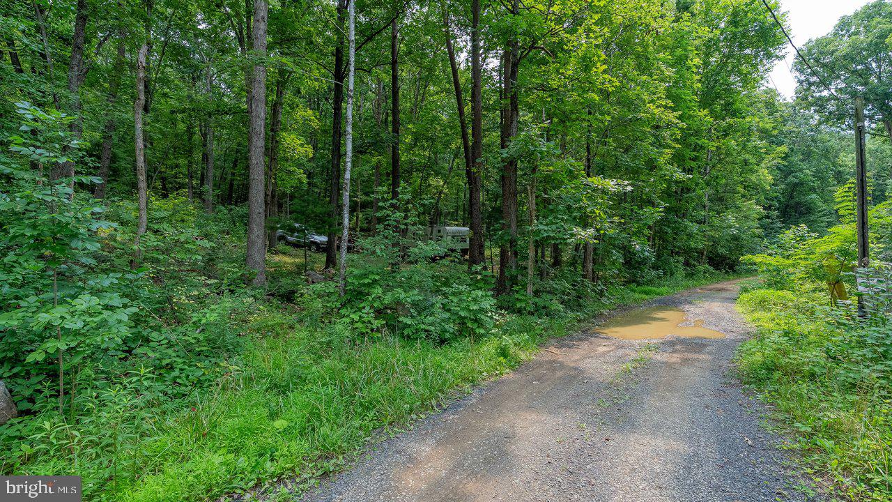 Tbd Dogwood Drive Property Photo 8