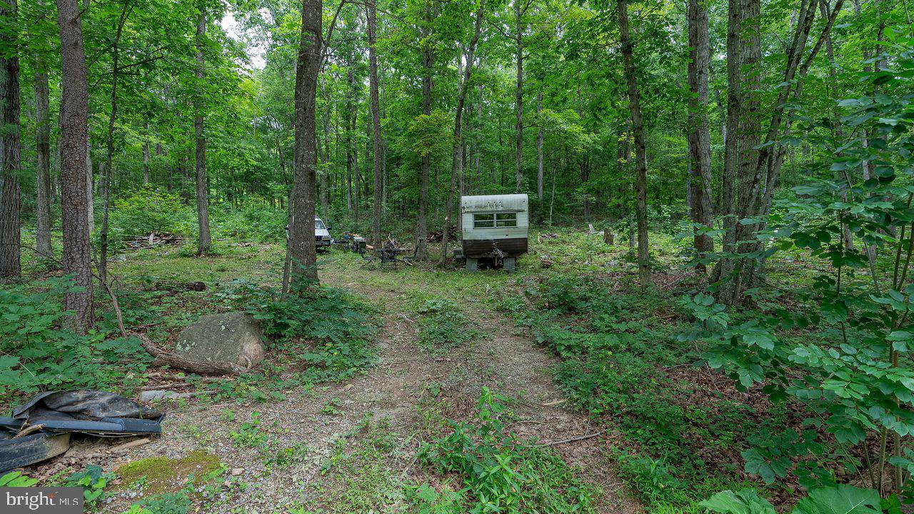 Tbd Dogwood Drive Property Photo 9
