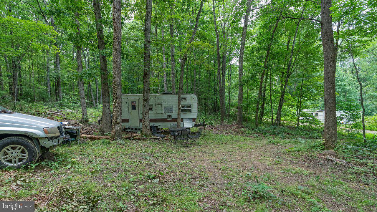 Tbd Dogwood Drive Property Photo 10