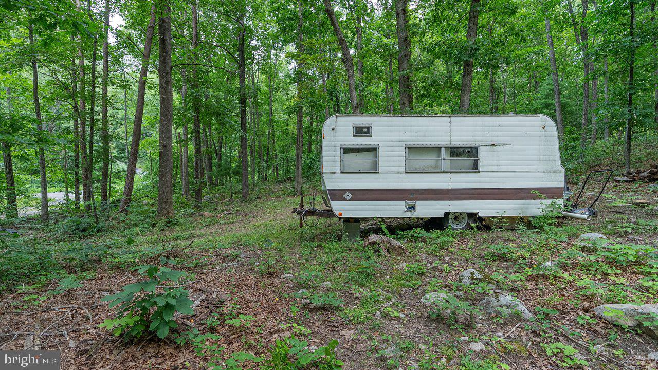 Tbd Dogwood Drive Property Photo 11