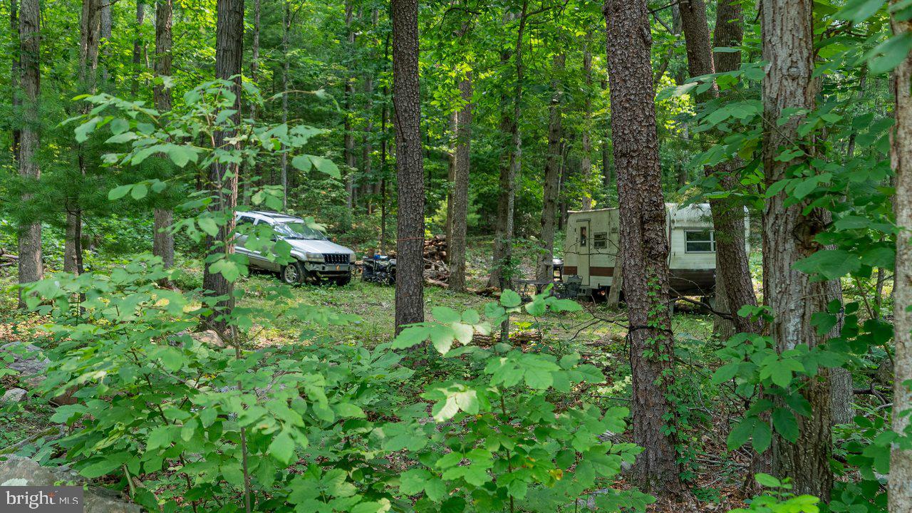 Tbd Dogwood Drive Property Photo 12