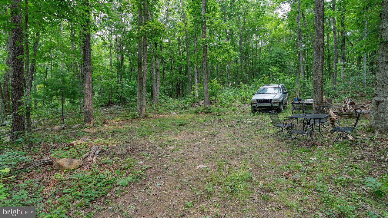Tbd Dogwood Drive Property Photo 13