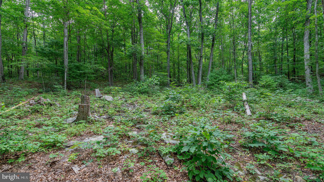 Tbd Dogwood Drive Property Photo 14