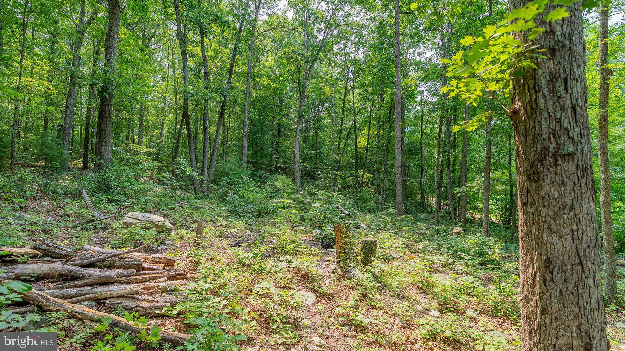 Tbd Dogwood Drive Property Photo 16