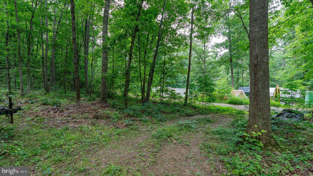 Tbd Dogwood Drive Property Photo 18