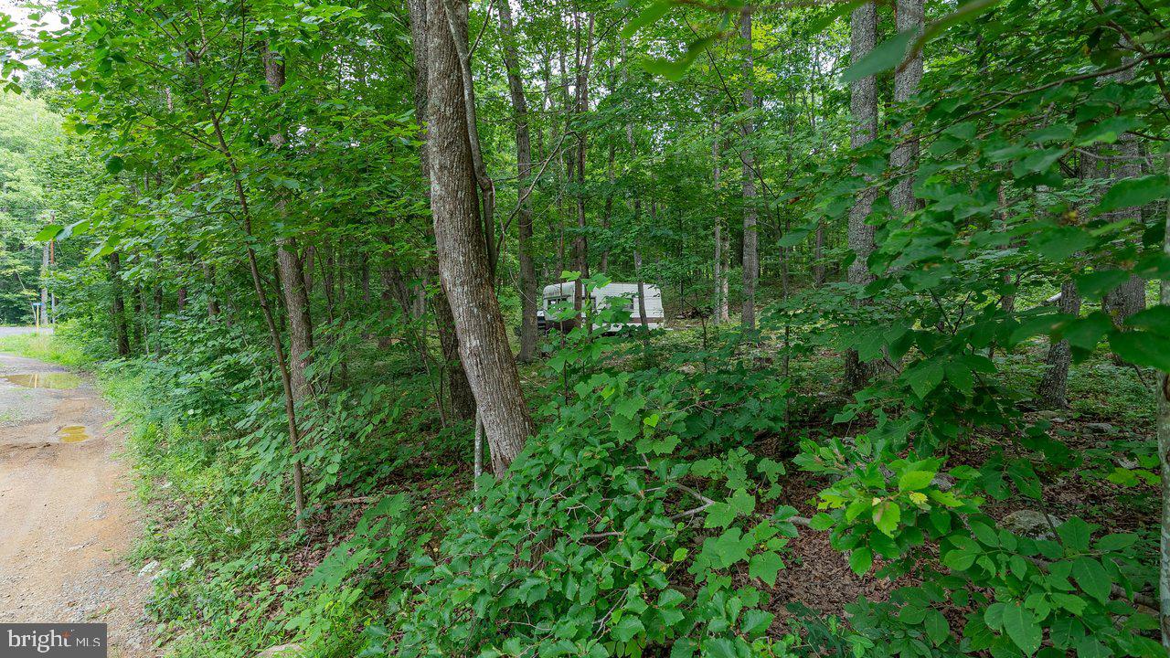 Tbd Dogwood Drive Property Photo 19