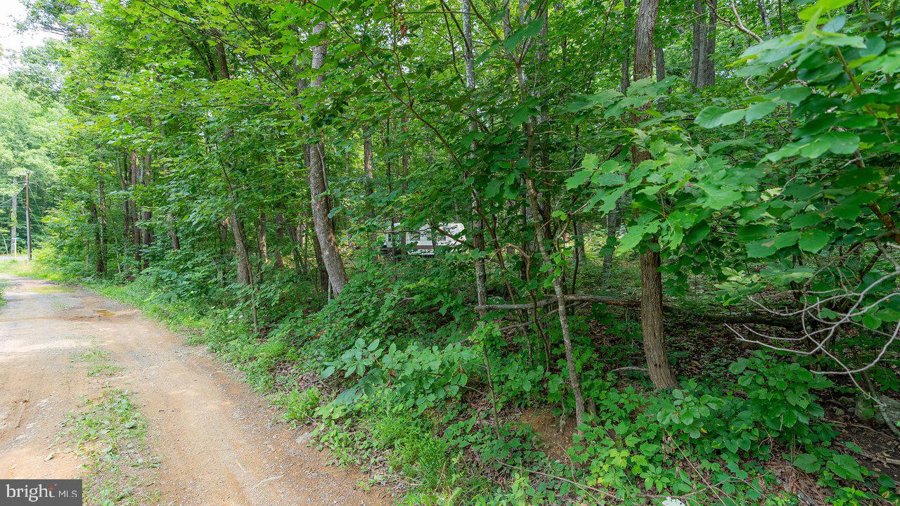 Tbd Dogwood Drive Property Photo 20