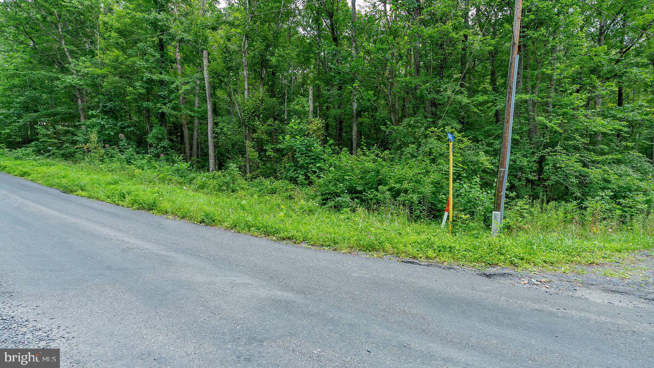 Tbd Dogwood Drive Property Photo 21