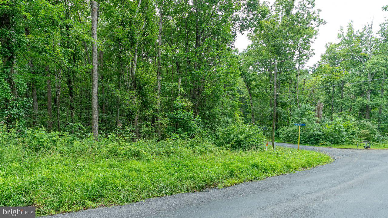 Tbd Dogwood Drive Property Photo 22