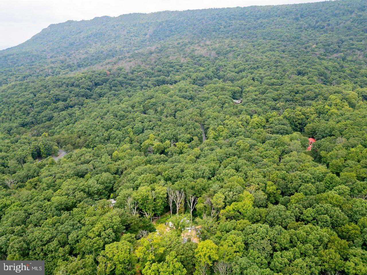 Tbd Dogwood Drive Property Photo 25