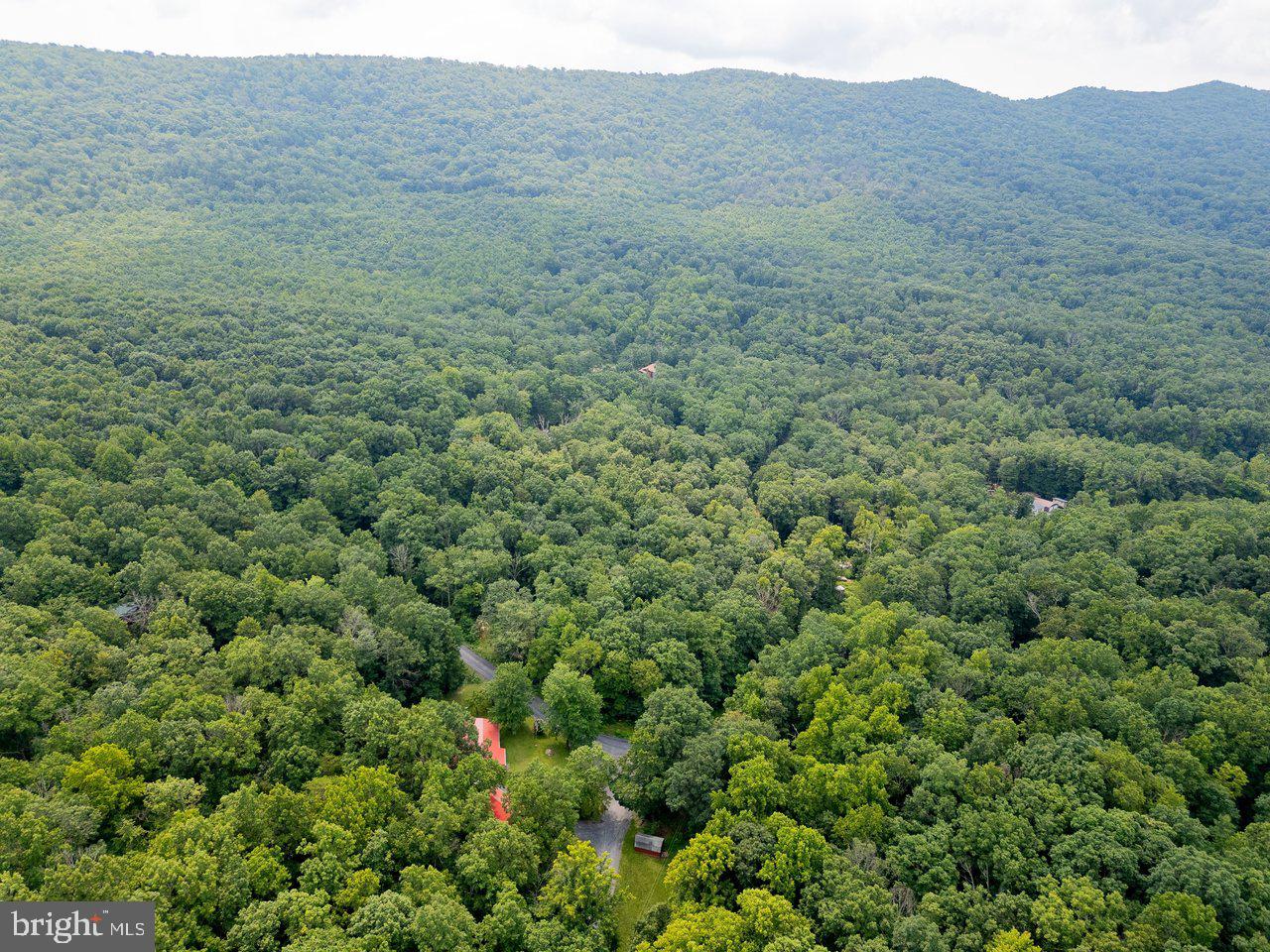 Tbd Dogwood Drive Property Photo 29
