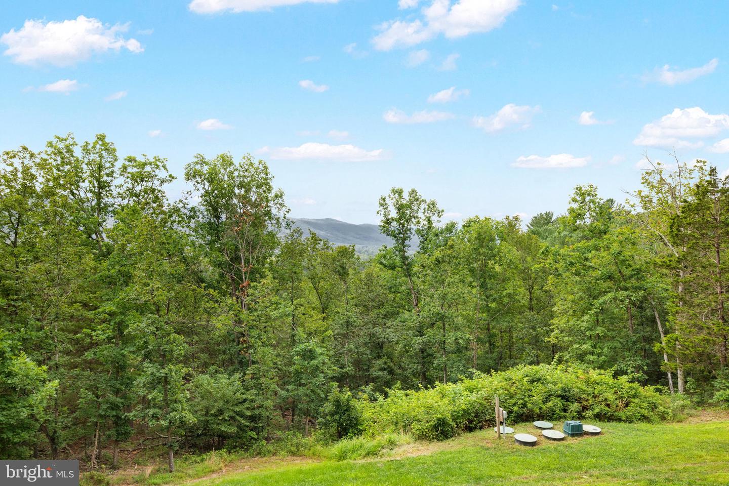 185 Buck Run Ln Property Photo 21