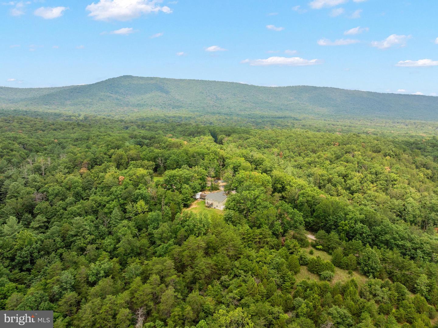 185 Buck Run Ln Property Photo 33