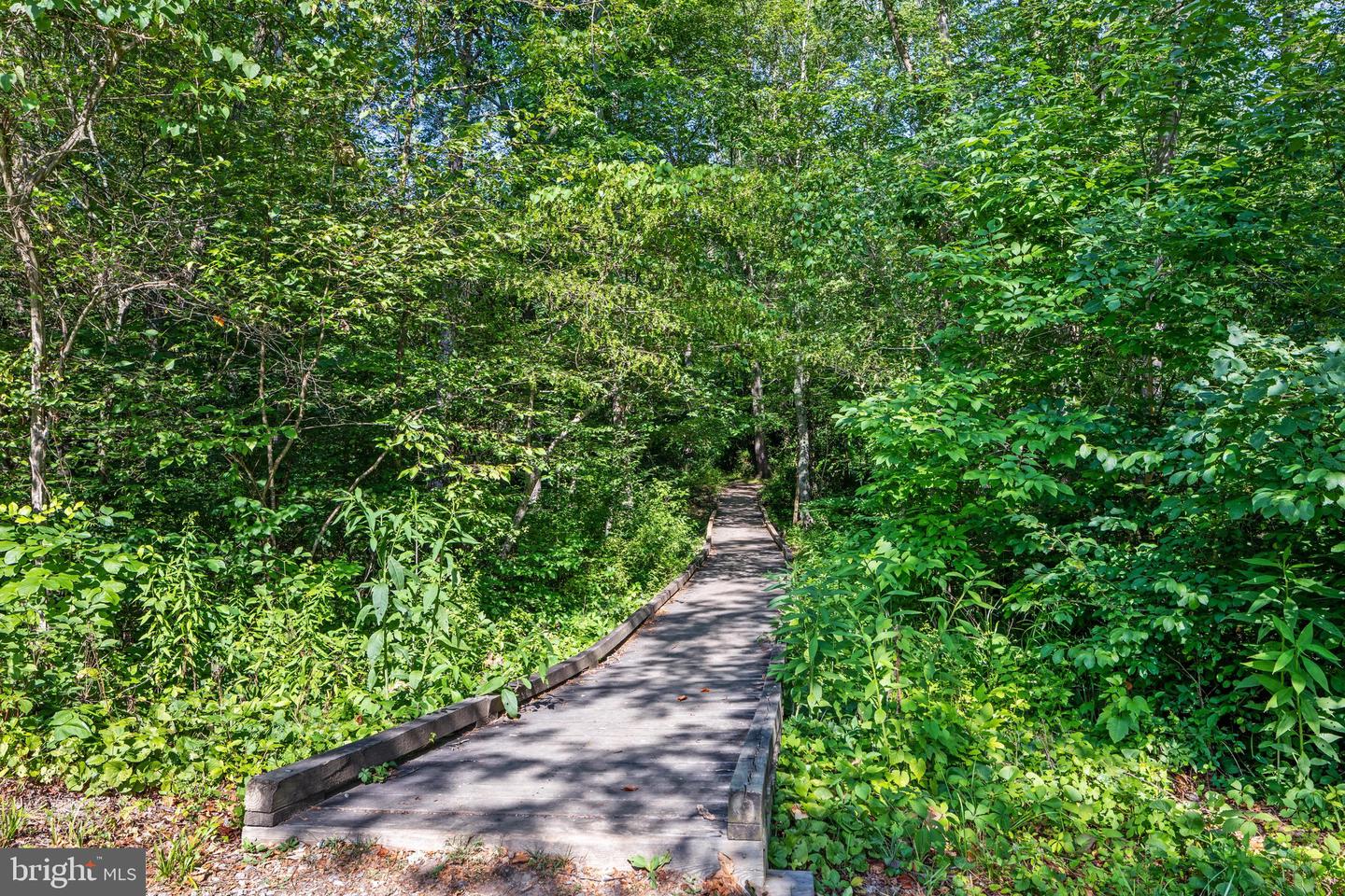 185 Buck Run Ln Property Photo 43