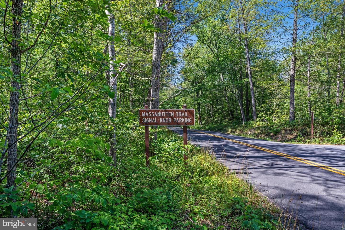 185 Buck Run Ln Property Photo 49