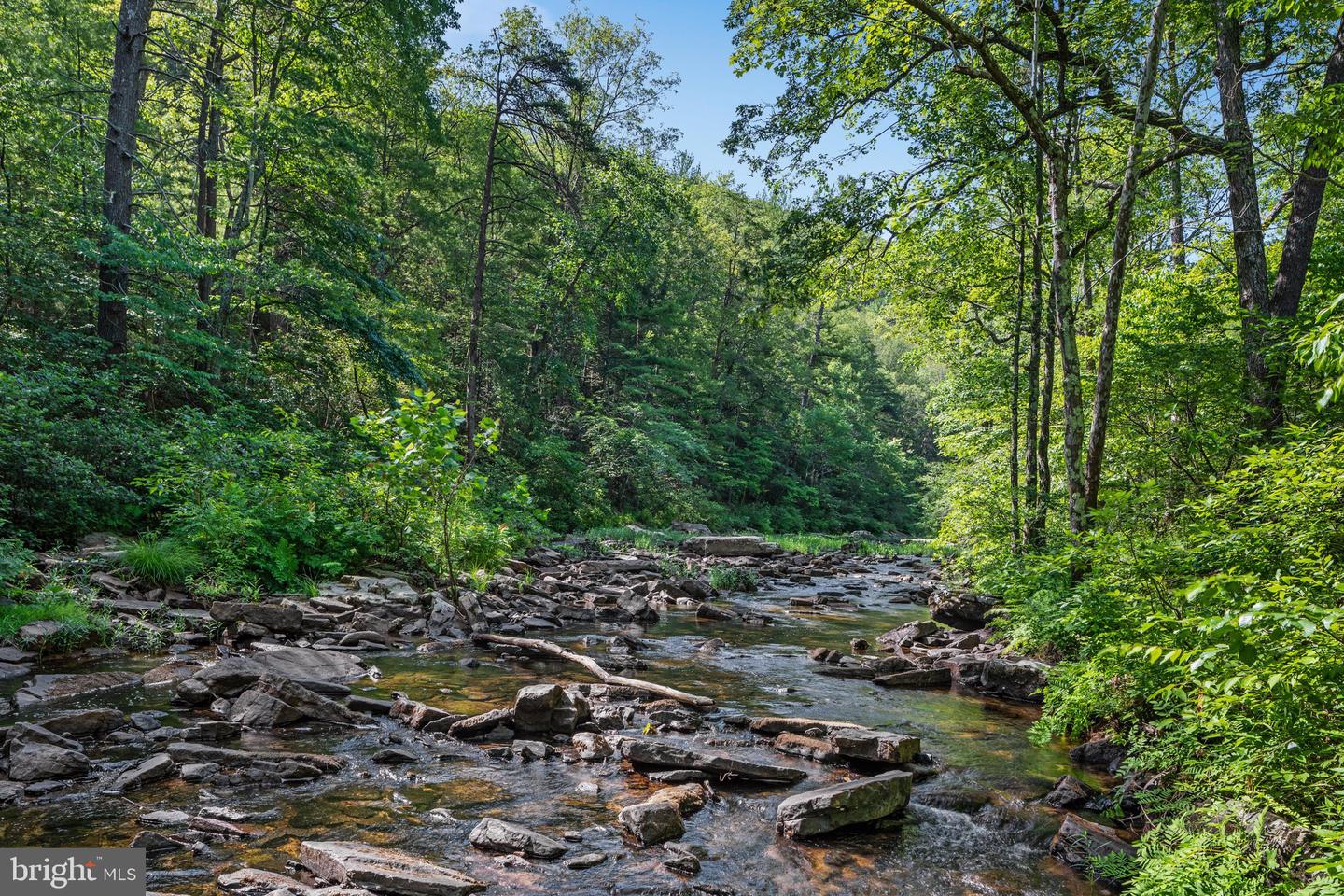 185 Buck Run Ln Property Photo 50