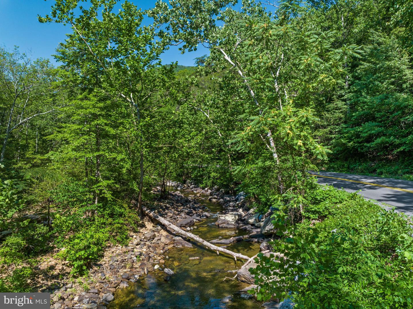 185 Buck Run Ln Property Photo 53