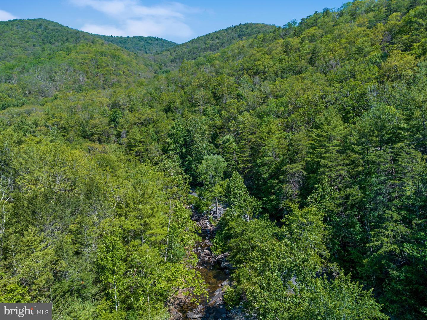 185 Buck Run Ln Property Photo 54