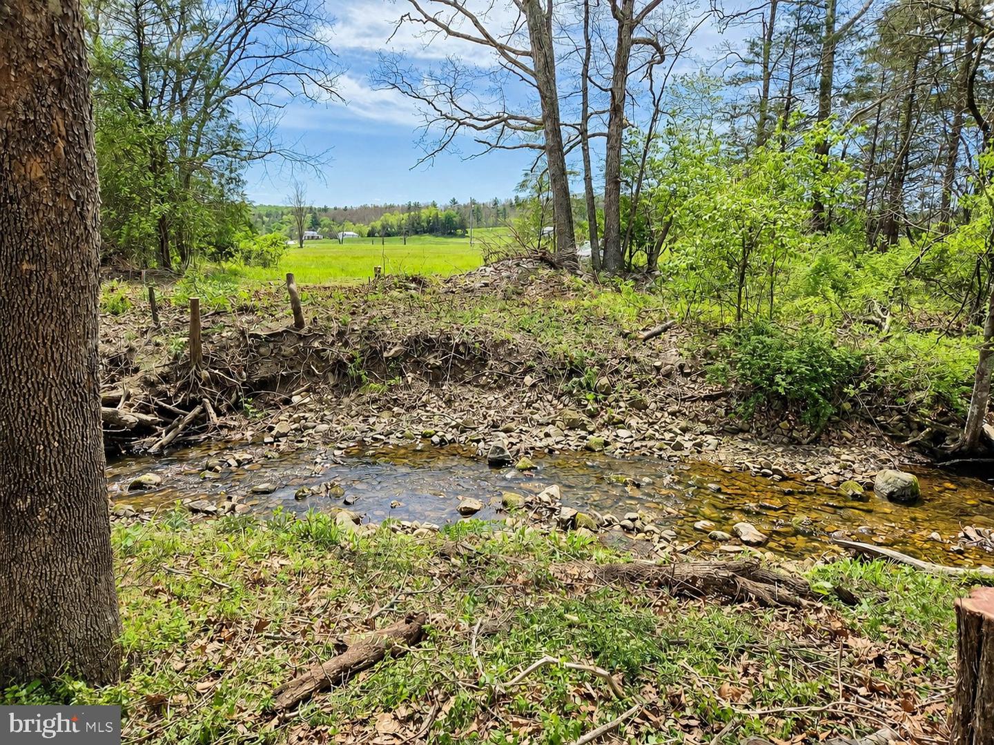Alum Springs Rd. Parcel B Property Photo 4