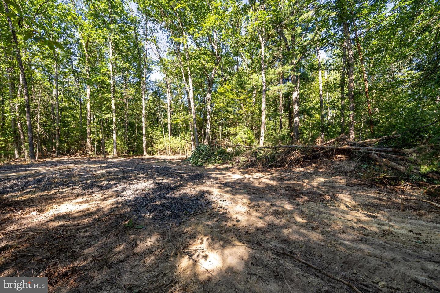 Alum Springs Rd. Parcel B Property Photo 15