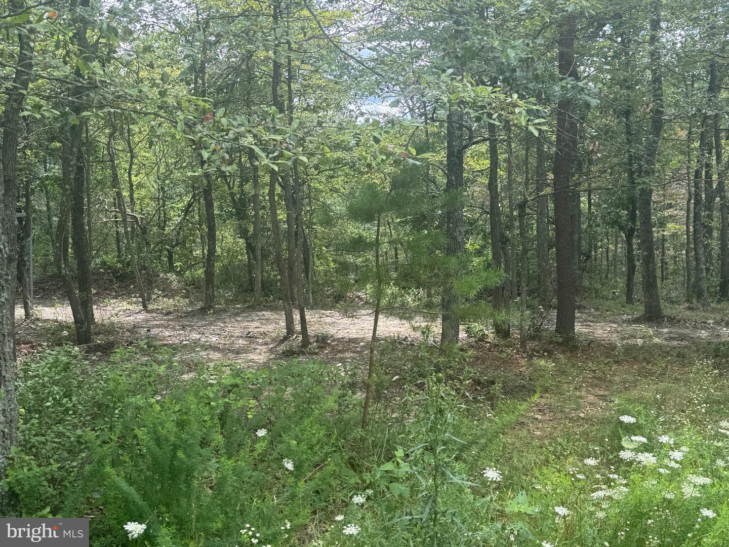 0 Mount Sinai Point Property Photo 11