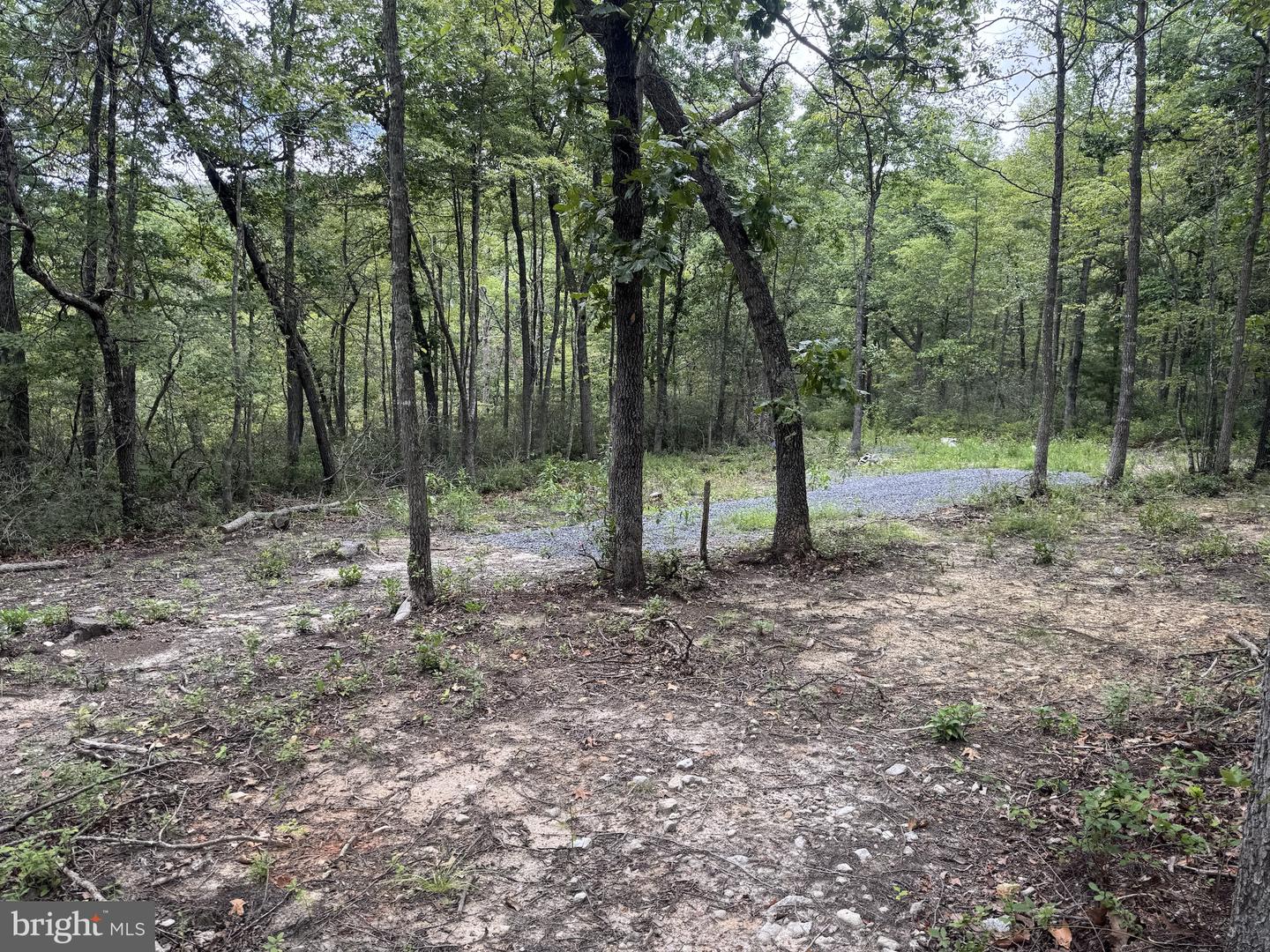 0 Mount Sinai Point Property Photo 12