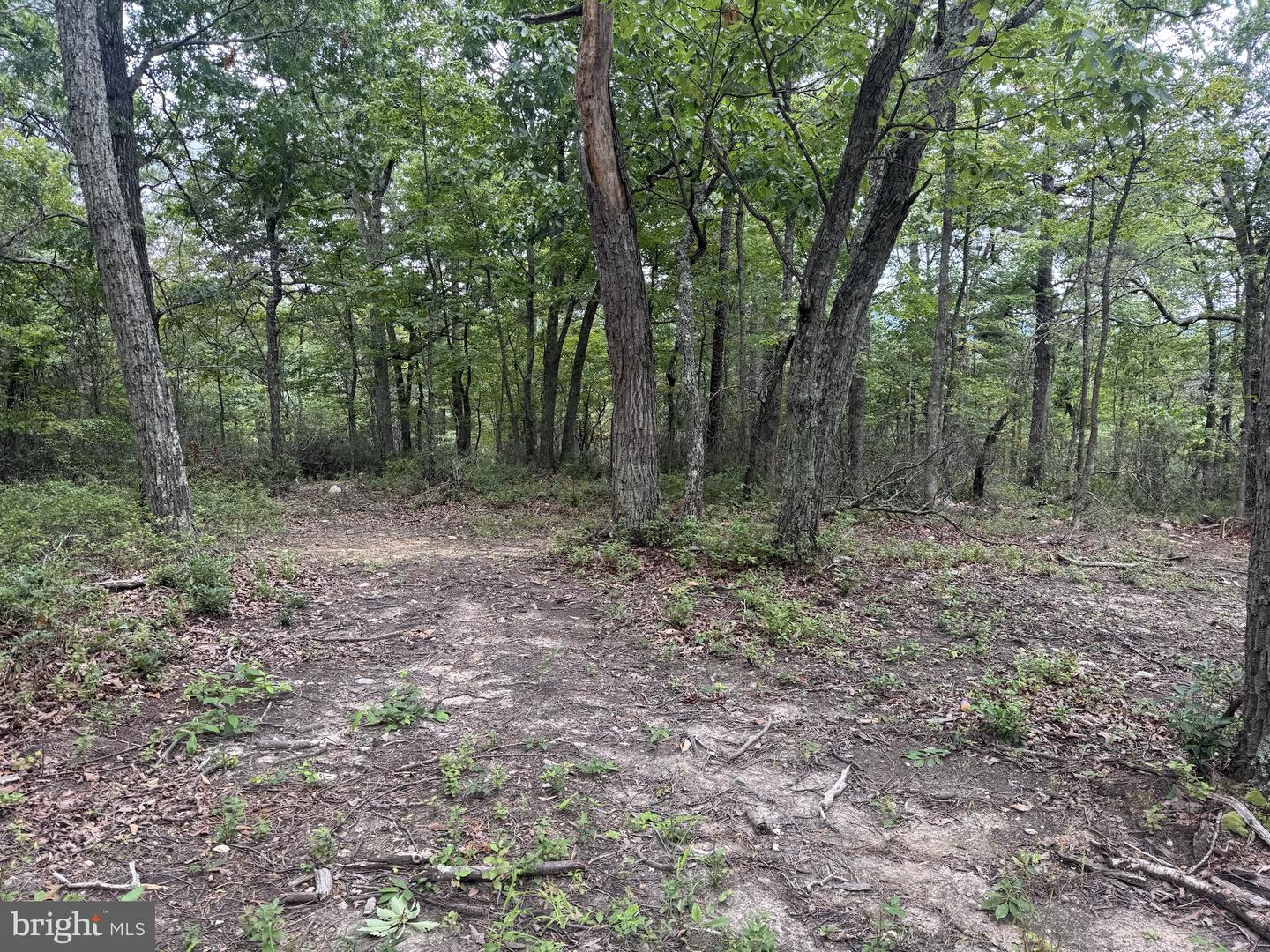 0 Mount Sinai Point Property Photo 13