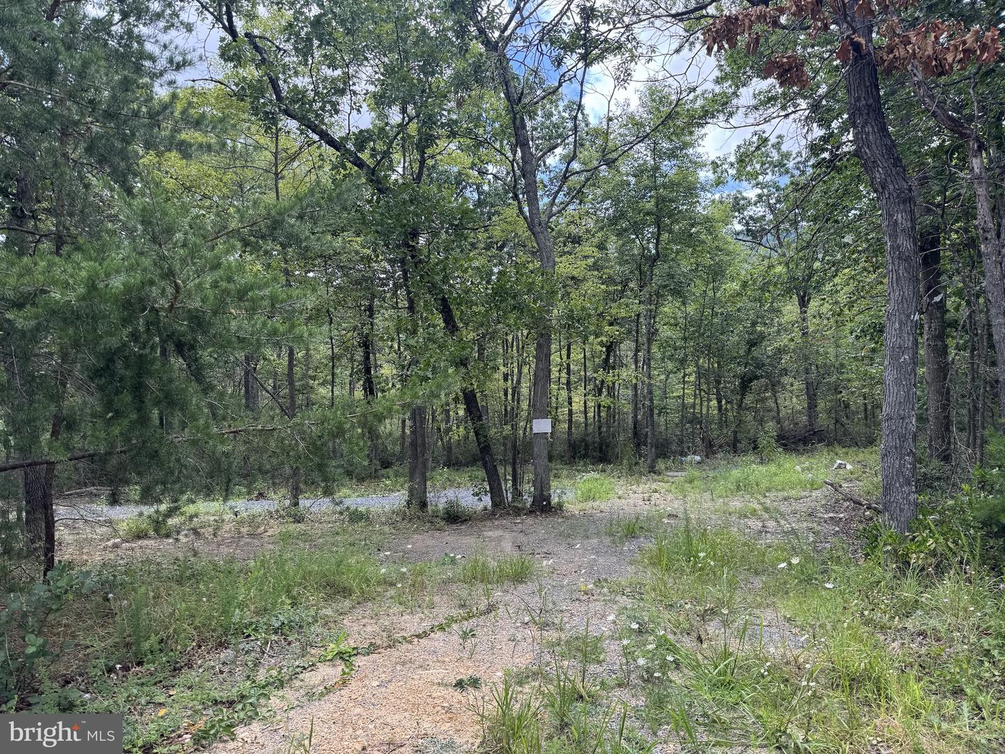 0 Mount Sinai Point Property Photo 14