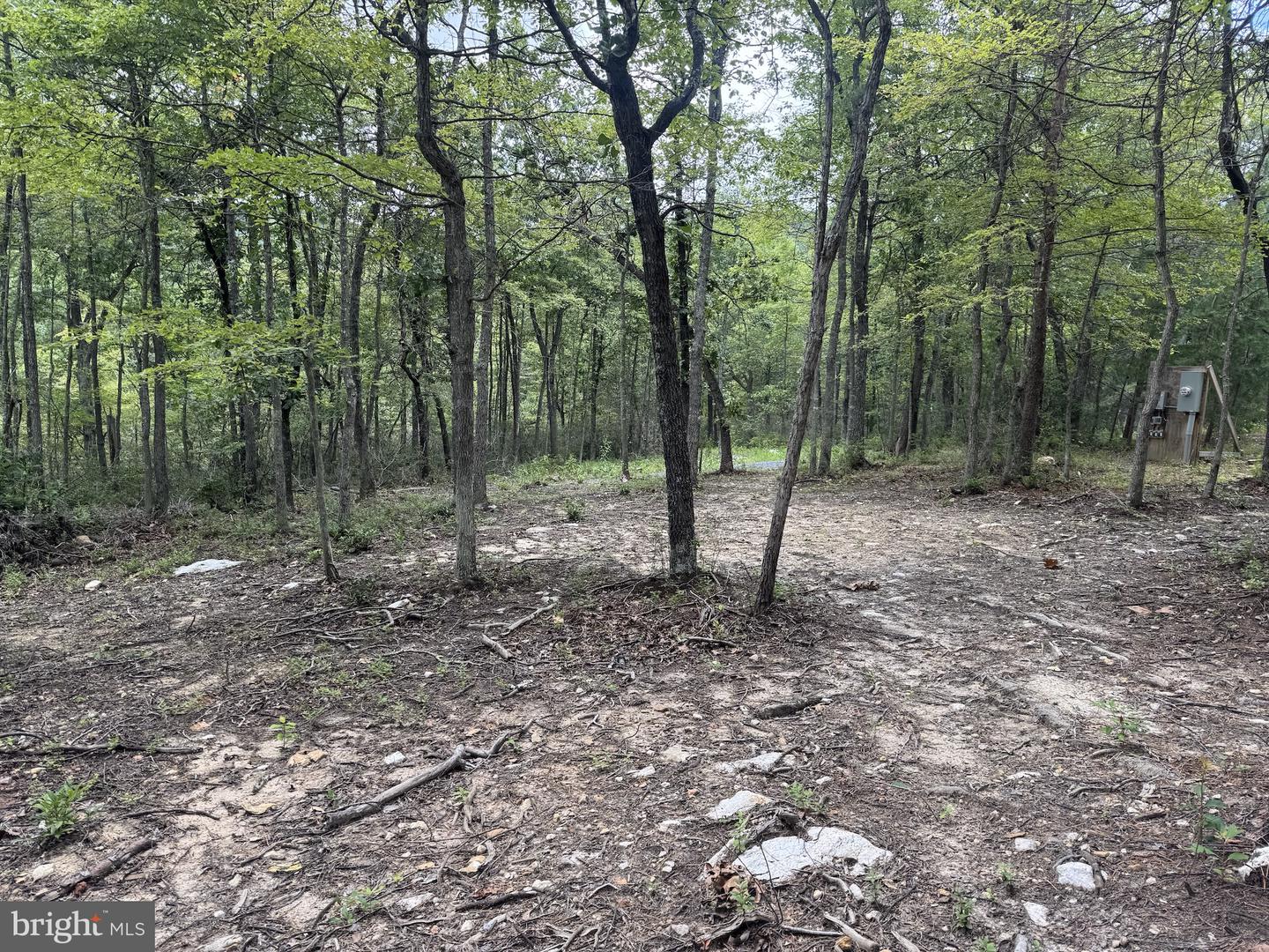 0 Mount Sinai Point Property Photo 15