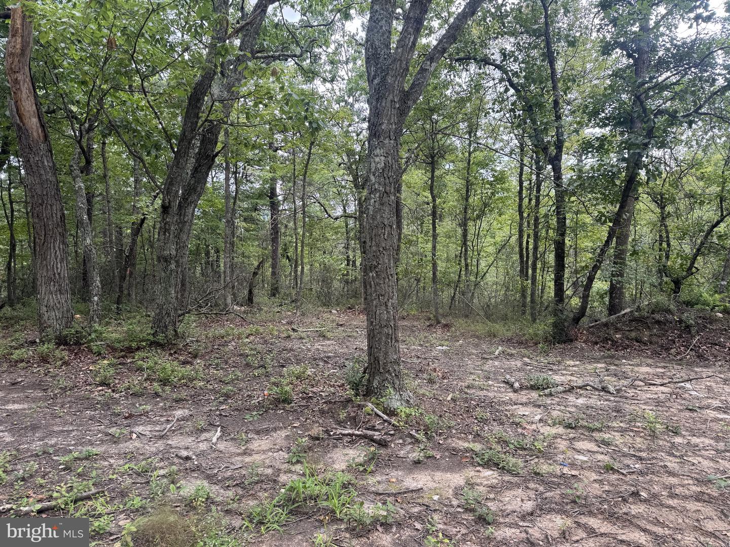 0 Mount Sinai Point Property Photo 16
