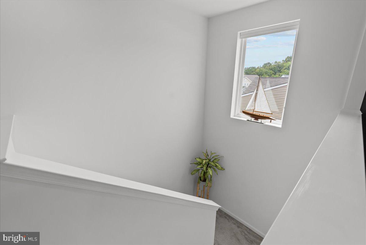 321 Cedar Spring Dr Property Photo 28