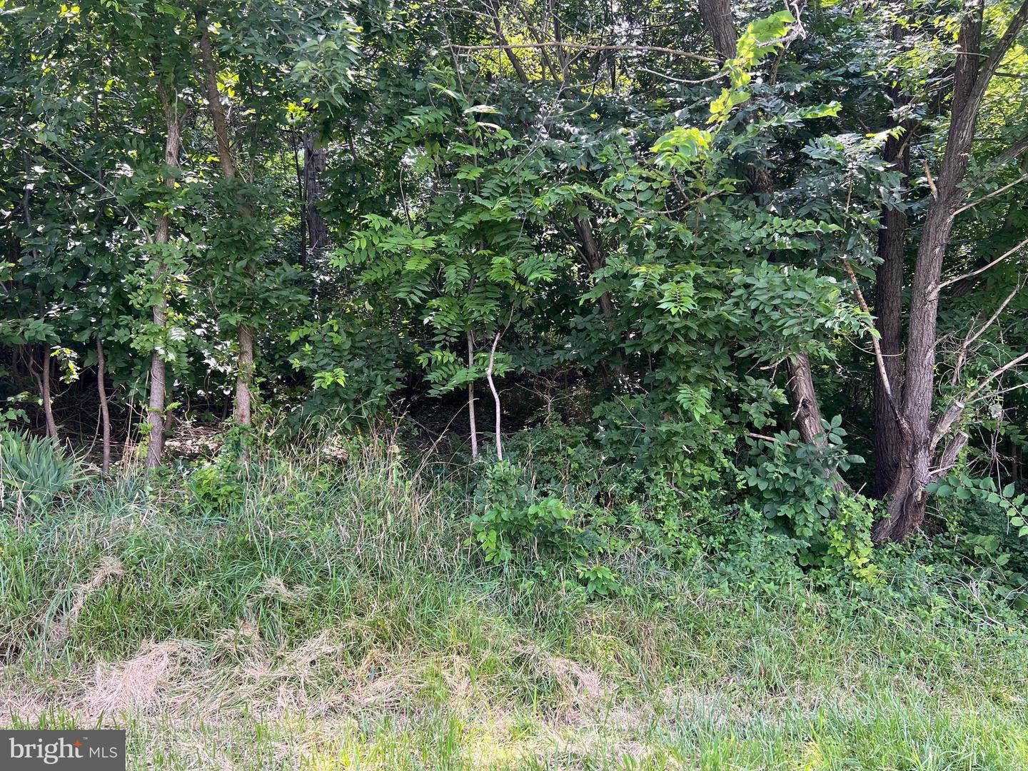 Beacon/sunset Property Photo 1