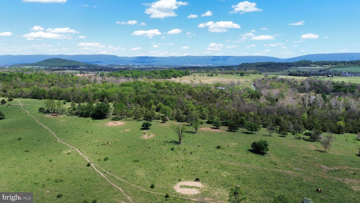 4080 Flat Rock Rd Property Photo 10