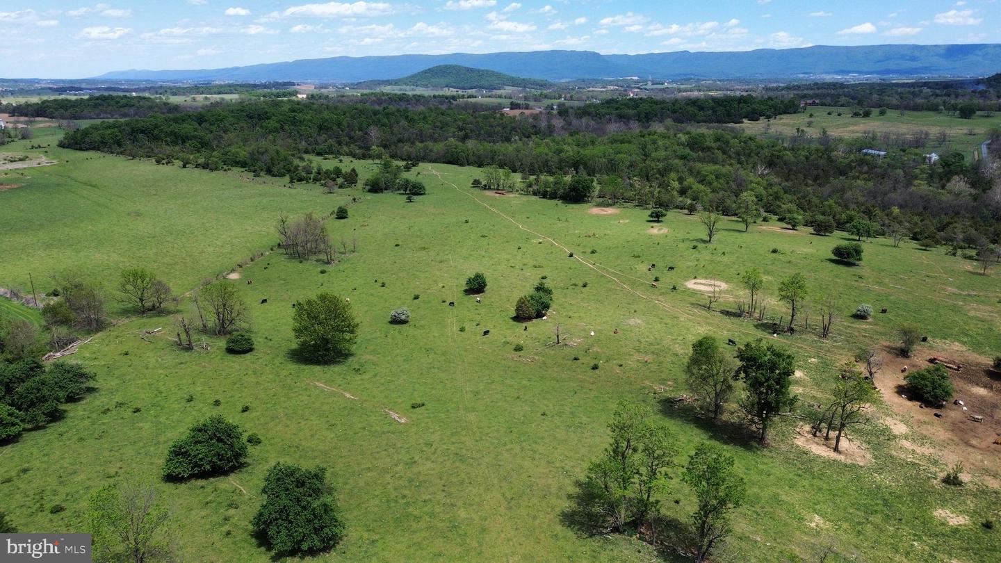 4080 Flat Rock Rd Property Photo 14