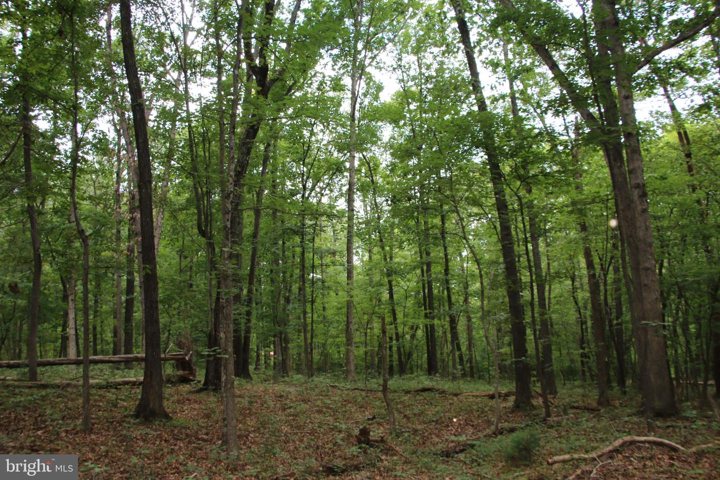 Habron Hollow Rd Property Photo 1